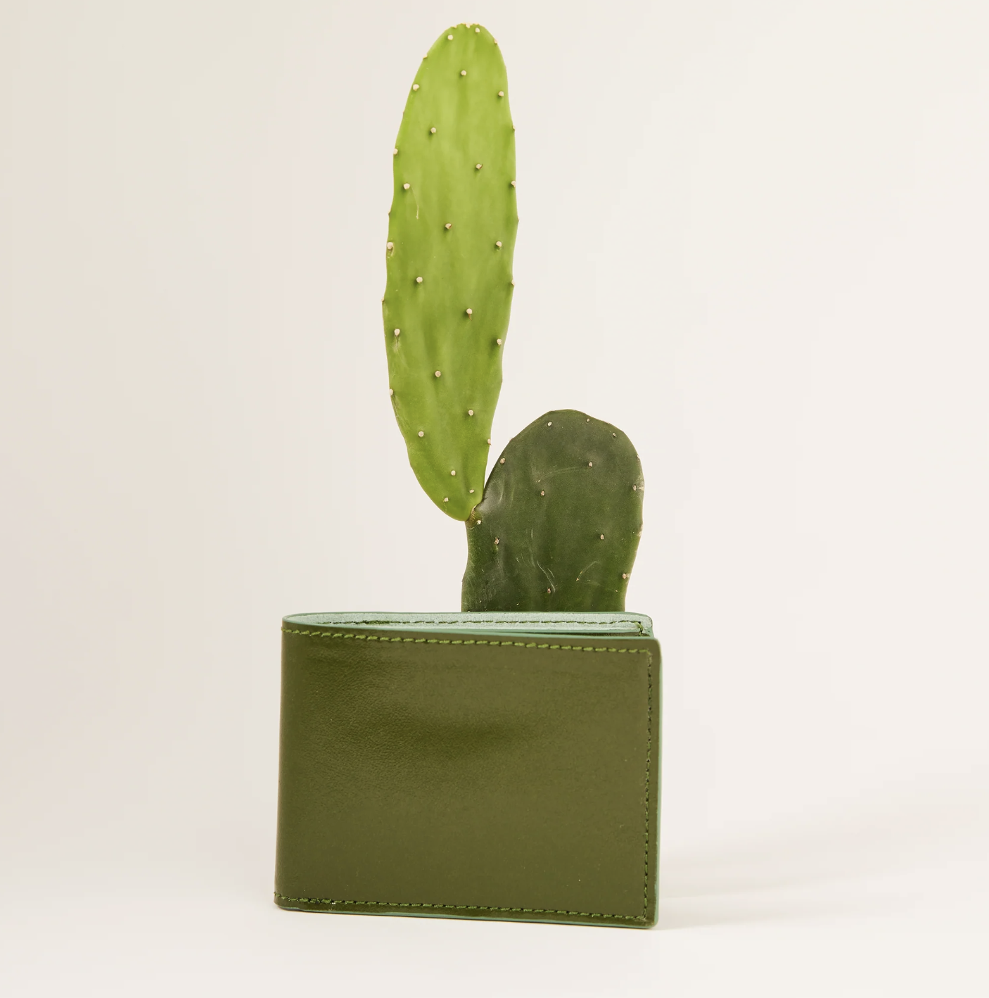 Organic Cactus Bifold Wallet review and promo code
