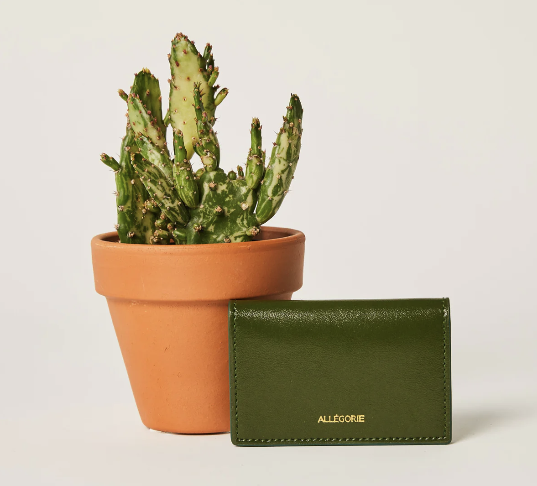 Organic Cactus Leather Cardholder review and promo code
