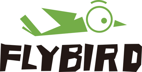 Flybird non toxic gym review and promo code